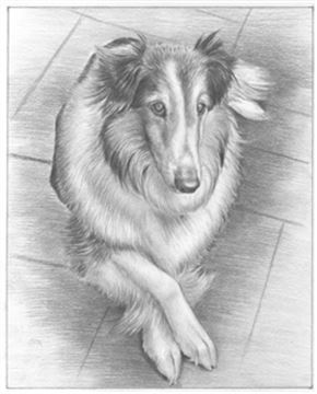 Hand Drawn Pencil Portraits from Photos | Pencil Portrait Drawing | Pencil Sketch Artists