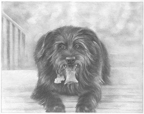 Hand Drawn Pencil Portraits from Photos | Pencil Portrait Drawing | Pencil Sketch Artists