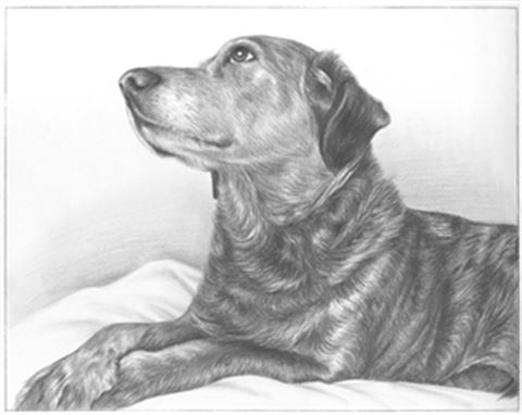 Hand Drawn Pencil Portraits from Photos | Pencil Portrait Drawing | Pencil Sketch Artists
