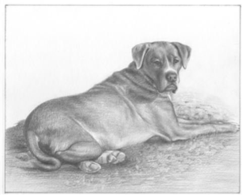 Hand Drawn Pencil Portraits from Photos | Pencil Portrait Drawing | Pencil Sketch Artists