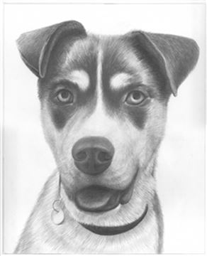 Hand Drawn Pencil Portraits from Photos | Pencil Portrait Drawing | Pencil Sketch Artists