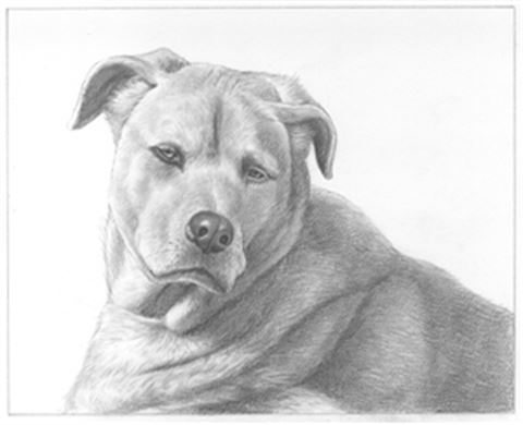 Hand Drawn Pencil Portraits from Photos | Pencil Portrait Drawing | Pencil Sketch Artists