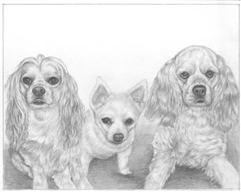 Hand Drawn Pencil Portraits from Photos | Pencil Portrait Drawing | Pencil Sketch Artists