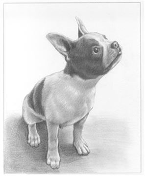 Hand Drawn Pencil Portraits from Photos | Pencil Portrait Drawing | Pencil Sketch Artists