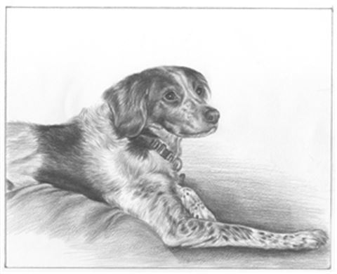 Hand Drawn Pencil Portraits from Photos | Pencil Portrait Drawing | Pencil Sketch Artists