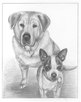 Hand Drawn Pencil Portraits from Photos | Pencil Portrait Drawing | Pencil Sketch Artists