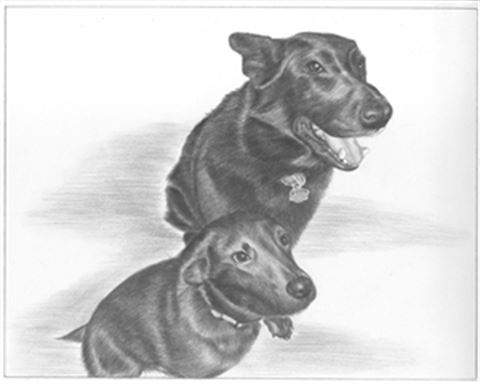 Hand Drawn Pencil Portraits from Photos | Pencil Portrait Drawing | Pencil Sketch Artists