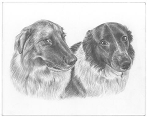 Hand Drawn Pencil Portraits from Photos | Pencil Portrait Drawing | Pencil Sketch Artists
