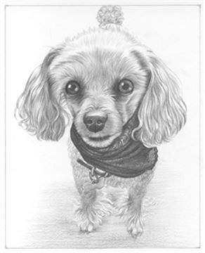 Hand Drawn Pencil Portraits from Photos | Pencil Portrait Drawing | Pencil Sketch Artists