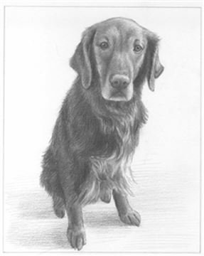 Hand Drawn Pencil Portraits from Photos | Pencil Portrait Drawing | Pencil Sketch Artists