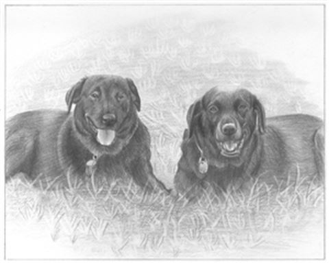 Hand Drawn Pencil Portraits from Photos | Pencil Portrait Drawing | Pencil Sketch Artists