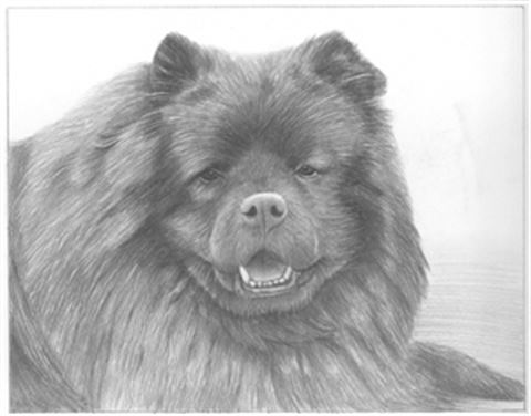 Hand Drawn Pencil Portraits from Photos | Pencil Portrait Drawing | Pencil Sketch Artists