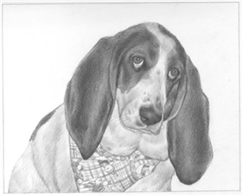 Hand Drawn Pencil Portraits from Photos | Pencil Portrait Drawing | Pencil Sketch Artists
