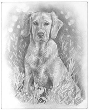 Hand Drawn Pencil Portraits from Photos | Pencil Portrait Drawing | Pencil Sketch Artists