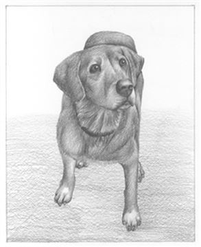 Hand Drawn Pencil Portraits from Photos | Pencil Portrait Drawing | Pencil Sketch Artists