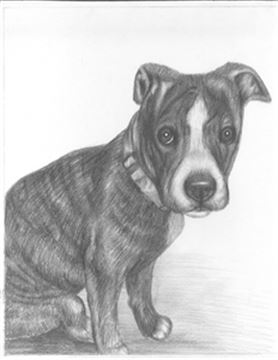 Hand Drawn Pencil Portraits from Photos | Pencil Portrait Drawing | Pencil Sketch Artists