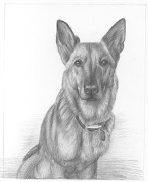 Hand Drawn Pencil Portraits from Photos | Pencil Portrait Drawing | Pencil Sketch Artists