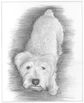 Hand Drawn Pencil Portraits from Photos | Pencil Portrait Drawing | Pencil Sketch Artists