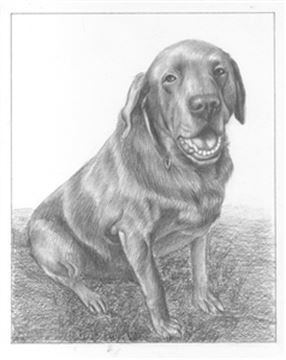 Hand Drawn Pencil Portraits from Photos | Pencil Portrait Drawing | Pencil Sketch Artists