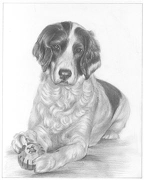Hand Drawn Pencil Portraits from Photos | Pencil Portrait Drawing | Pencil Sketch Artists