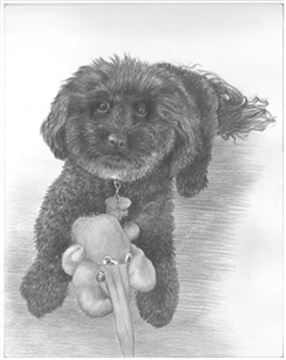 Hand Drawn Pencil Portraits from Photos | Pencil Portrait Drawing | Pencil Sketch Artists