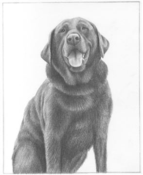 Hand Drawn Pencil Portraits from Photos | Pencil Portrait Drawing | Pencil Sketch Artists