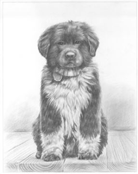 Hand Drawn Pencil Portraits from Photos | Pencil Portrait Drawing | Pencil Sketch Artists