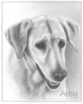 Hand Drawn Pencil Portraits from Photos | Pencil Portrait Drawing | Pencil Sketch Artists
