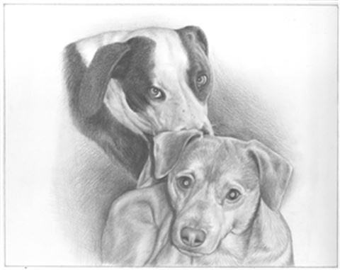 Hand Drawn Pencil Portraits from Photos | Pencil Portrait Drawing | Pencil Sketch Artists