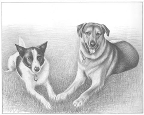 Hand Drawn Pencil Portraits from Photos | Pencil Portrait Drawing | Pencil Sketch Artists