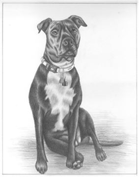 Hand Drawn Pencil Portraits from Photos | Pencil Portrait Drawing | Pencil Sketch Artists