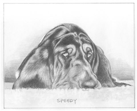 Hand Drawn Pencil Portraits from Photos | Pencil Portrait Drawing | Pencil Sketch Artists