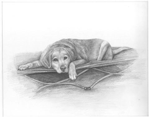Hand Drawn Pencil Portraits from Photos | Pencil Portrait Drawing | Pencil Sketch Artists
