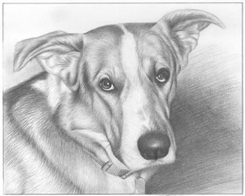 Hand Drawn Pencil Portraits from Photos | Pencil Portrait Drawing | Pencil Sketch Artists