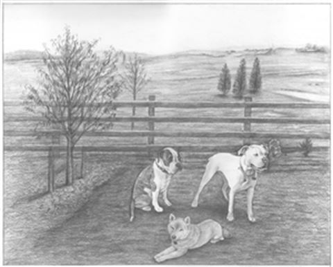 Hand Drawn Pencil Portraits from Photos | Pencil Portrait Drawing | Pencil Sketch Artists