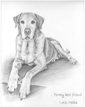 Hand Drawn Pencil Portraits from Photos | Pencil Portrait Drawing | Pencil Sketch Artists
