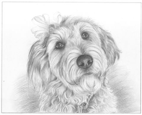 Hand Drawn Pencil Portraits from Photos | Pencil Portrait Drawing | Pencil Sketch Artists