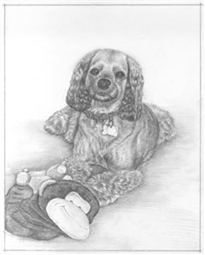 Hand Drawn Pencil Portraits from Photos | Pencil Portrait Drawing | Pencil Sketch Artists