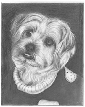 Hand Drawn Pencil Portraits from Photos | Pencil Portrait Drawing | Pencil Sketch Artists