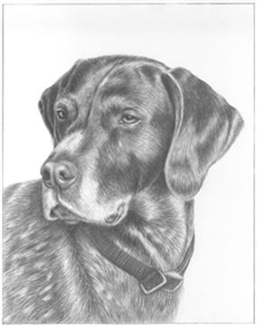 Hand Drawn Pencil Portraits from Photos | Pencil Portrait Drawing | Pencil Sketch Artists