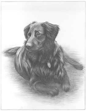 Hand Drawn Pencil Portraits from Photos | Pencil Portrait Drawing | Pencil Sketch Artists