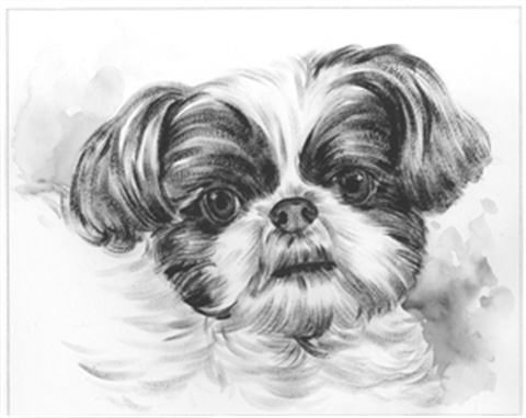 Hand Painted Ink Rendering Portraits from Photos