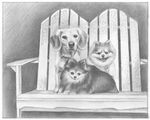 Hand Drawn Pencil Portraits from Photos | Pencil Portrait Drawing | Pencil Sketch Artists