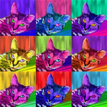 Pop Art 9 Panels from Photos
