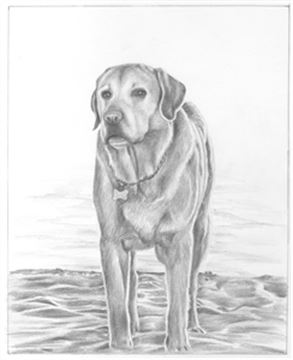 Hand Drawn Pencil Portraits from Photos | Pencil Portrait Drawing | Pencil Sketch Artists
