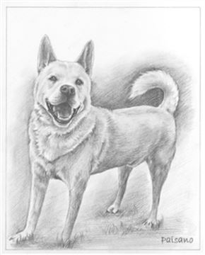 Hand Drawn Pencil Portraits from Photos | Pencil Portrait Drawing | Pencil Sketch Artists