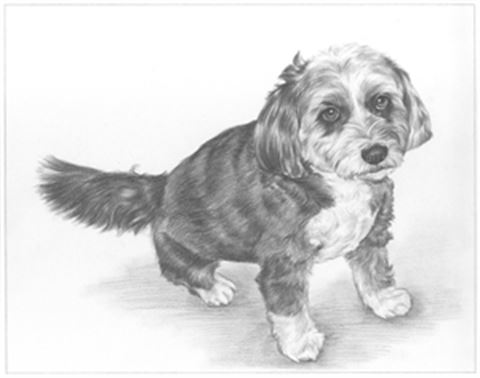 Hand Drawn Pencil Portraits from Photos | Pencil Portrait Drawing | Pencil Sketch Artists