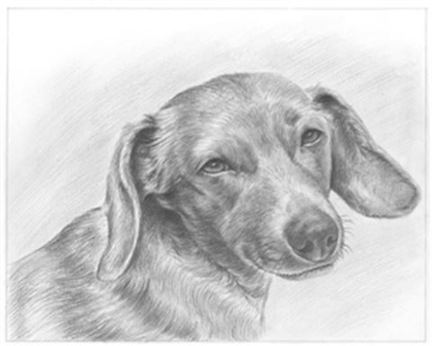Hand Drawn Pencil Portraits from Photos | Pencil Portrait Drawing | Pencil Sketch Artists