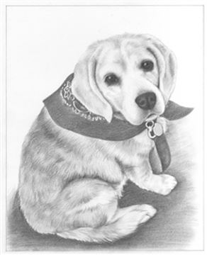 Hand Drawn Pencil Portraits from Photos | Pencil Portrait Drawing | Pencil Sketch Artists
