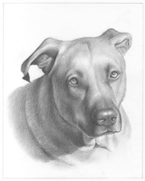 Hand Drawn Pencil Portraits from Photos | Pencil Portrait Drawing | Pencil Sketch Artists